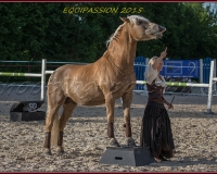 2-13JUIN 0399